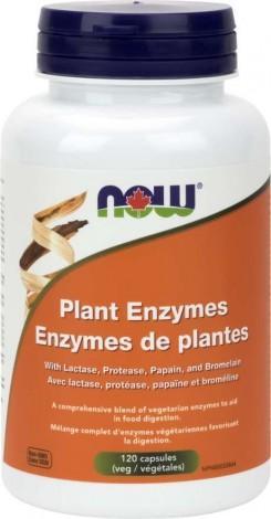 Enzymes de plantes -NOW -Gagné en Santé