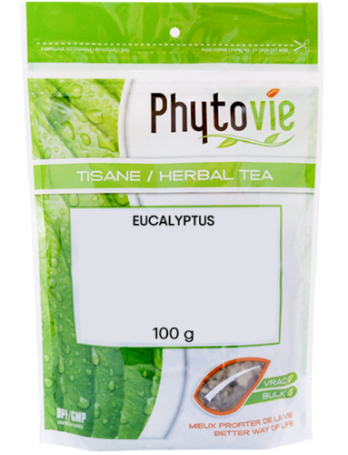 Eucalyptus | Feuilles -Phytovie -Gagné en Santé