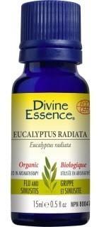Eucalyptus radiata -Divine essence -Gagné en Santé