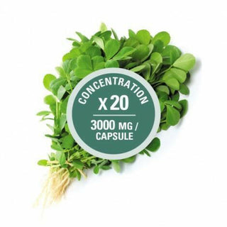 Fenugrec 3000 MG -Léo Désilets -Gagné en Santé