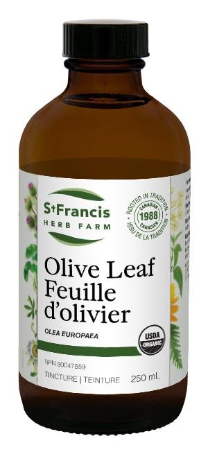 Feuille d'Olivier (Teinture) -St Francis Herb Farm -Gagné en Santé