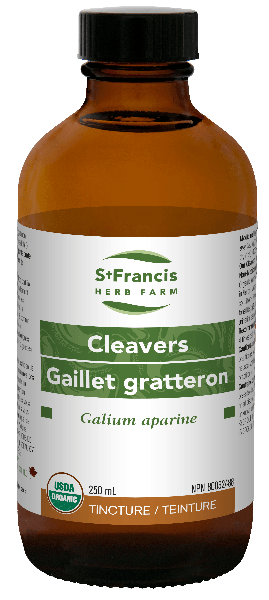 Gaillet gratteron -St Francis Herb Farm -Gagné en Santé