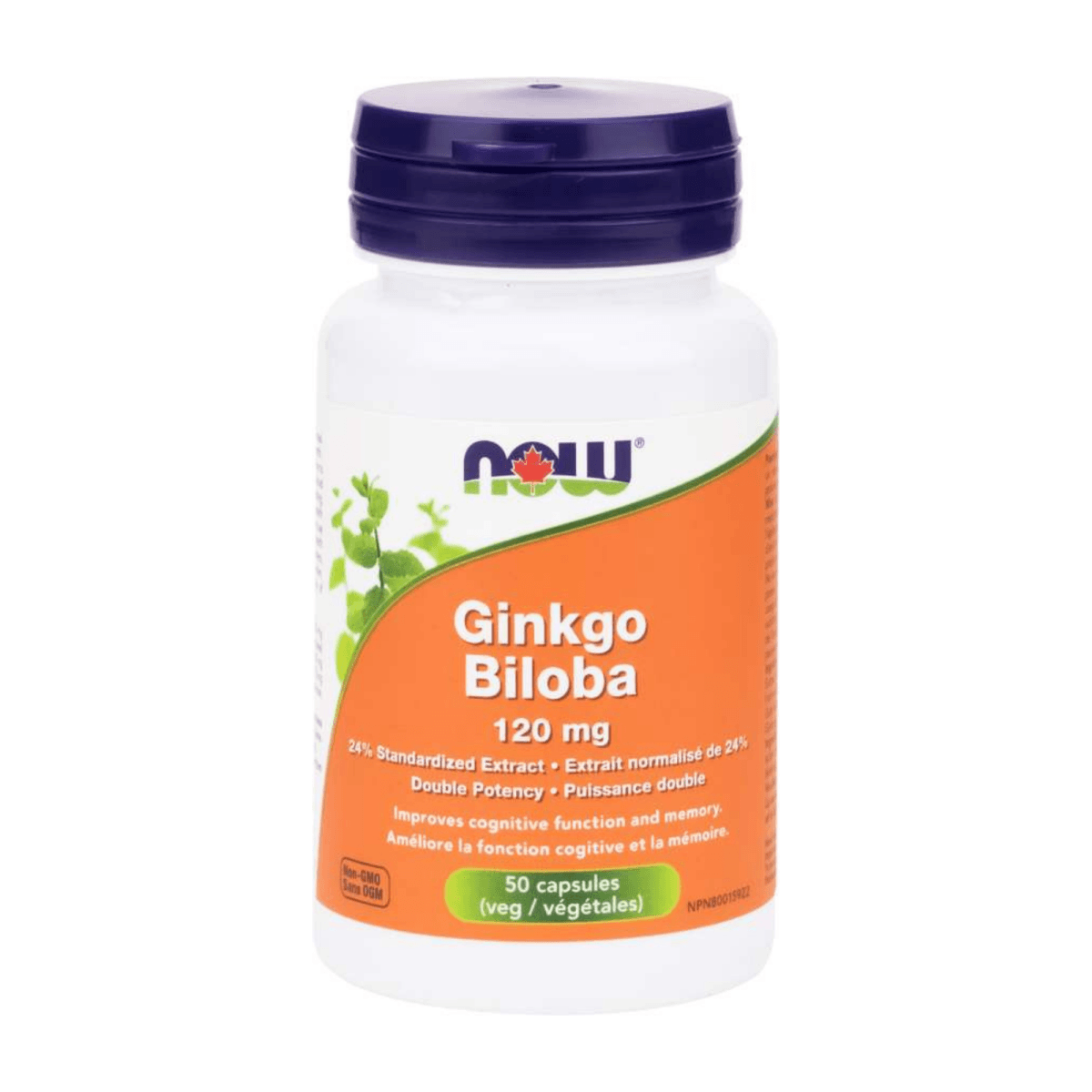 Ginkgo Biloba 120 mg -NOW -Gagné en Santé