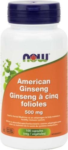 Ginseng cinq folioles 500 mg -NOW -Gagné en Santé