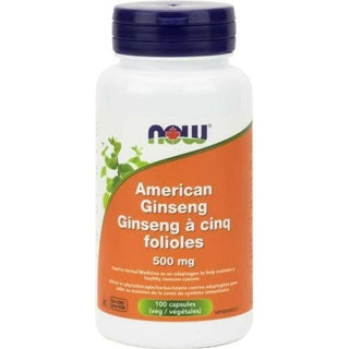 Ginseng cinq folioles 500 mg -NOW -Gagné en Santé