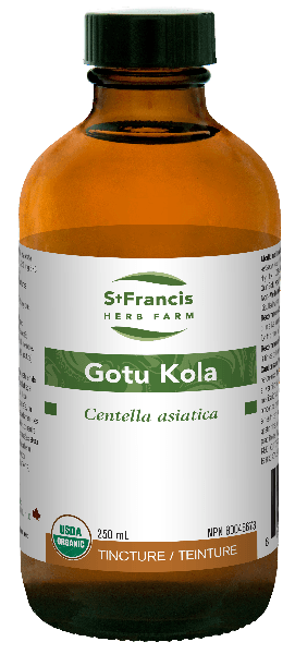 Gotu Kola -St Francis Herb Farm -Gagné en Santé