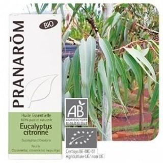 Huile essentielle Eucalyptus citronné -Pranarôm -Gagné en Santé