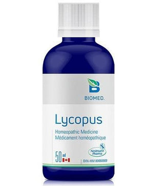 Lycopus -Biomed -Gagné en Santé