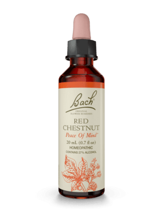 Marronnier rouge -Bach -Gagné en Santé