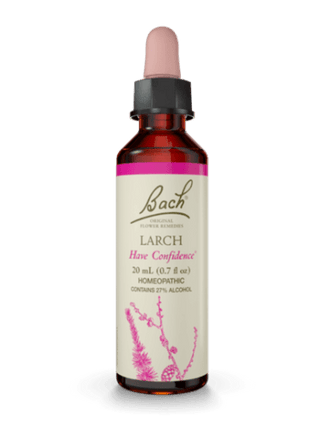 Mélèze -Bach -Gagné en Santé