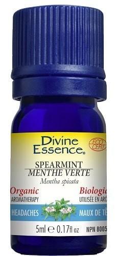 Menthe Verte -Divine essence -Gagné en Santé
