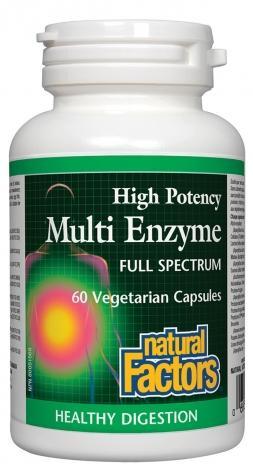 Multi Enzymes -Natural Factors -Gagné en Santé
