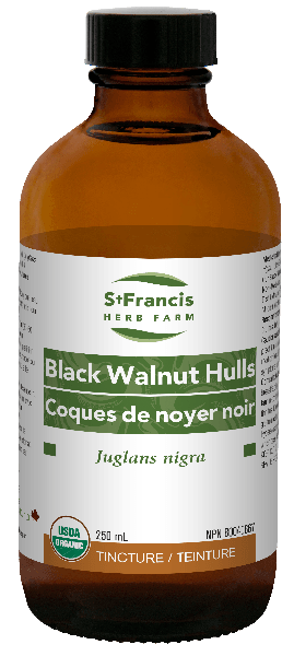 Noyer Noir (Coques) -St Francis Herb Farm -Gagné en Santé