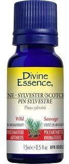 Pin Sylvestre -Divine essence -Gagné en Santé