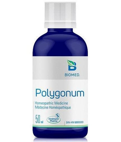 Polygonum -Biomed -Gagné en Santé