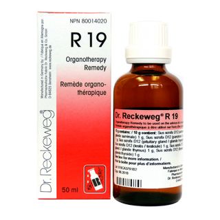 Dr. reckeweg - 
r19 glandes hommes - 50 ml