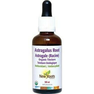 Racine d’Astragale 8000 -New Roots Herbal -Gagné en Santé