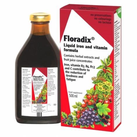 Salus Floradix | Formule Liquide de Fer | 250/500/700 ml -Salus -Gagné en Santé