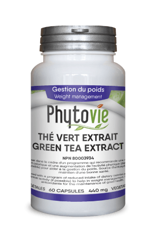 Thé vert | Gestion du poids -Phytovie -Gagné en Santé