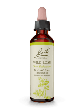 Wild Rose -Bach -Gagné en Santé